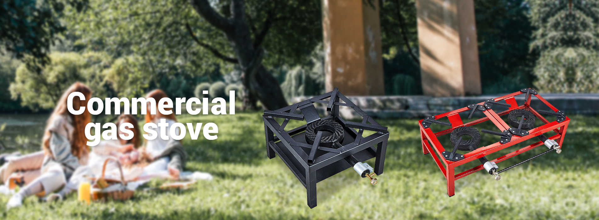 Commercial gas stove